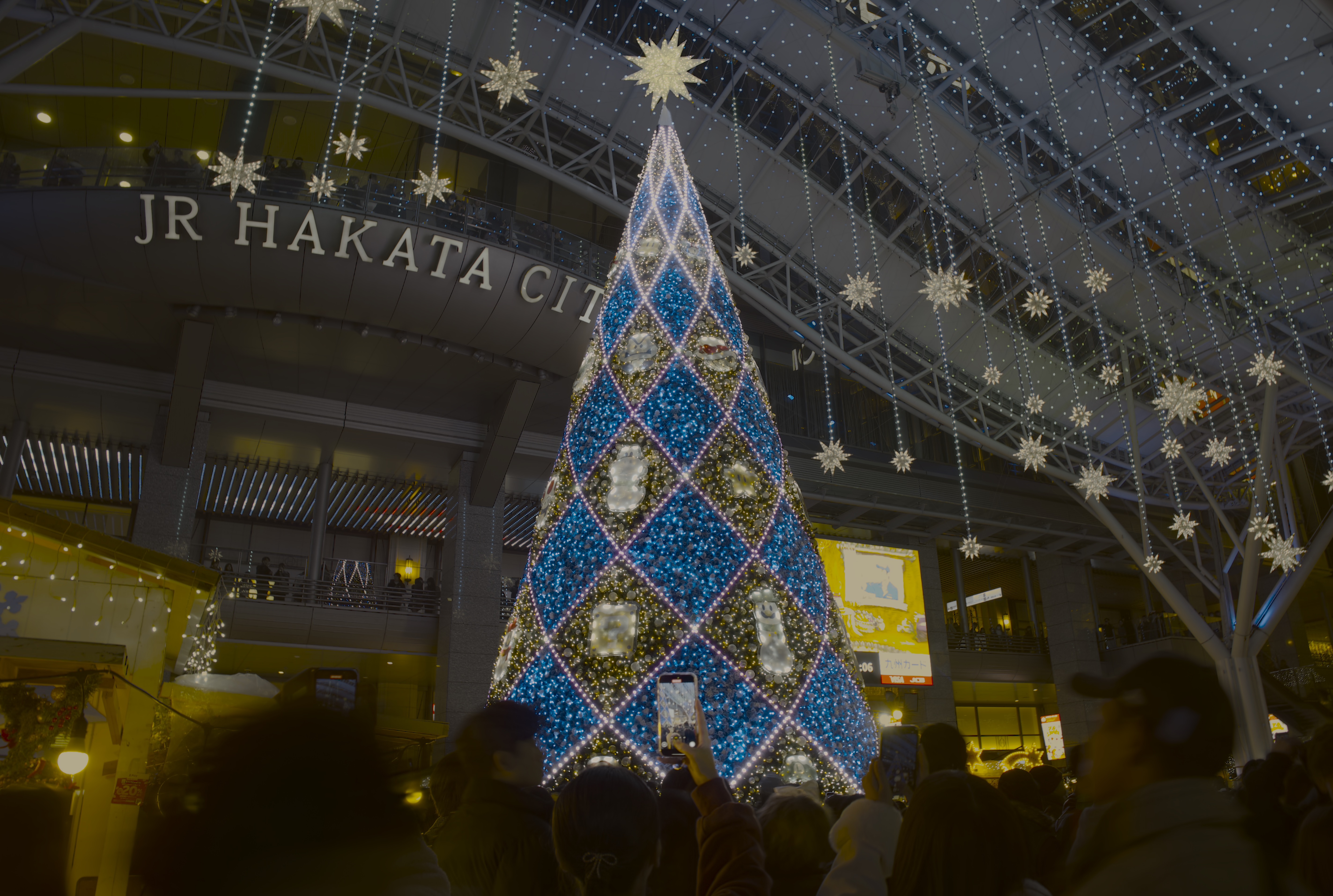 Christmas Tree in Fukuoka, Japan